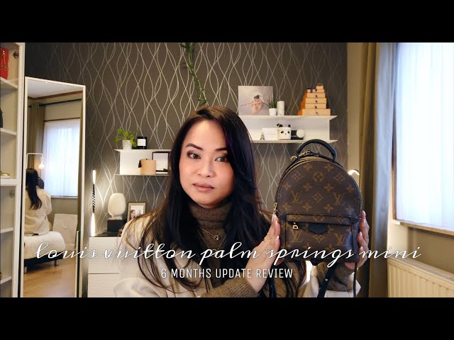 Louis Vuitton Palm Springs Backpack Mini Review with Mod Shots (ENG SUB) 