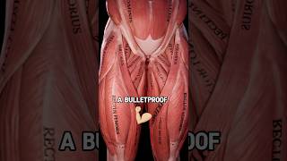 Groin Pain? Strengthen This Muscle 😳 Resimi