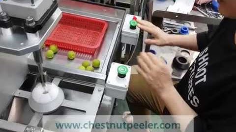 Japanese apricot seed remover machine