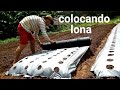 Preparando canteiros com lona para alface