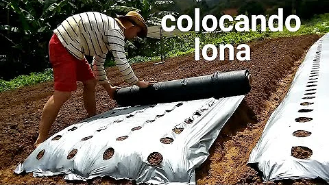 Como fazer um canteiro com lona?
