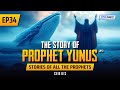 The story of prophet yunus as  ep 34  stories of the prophets series