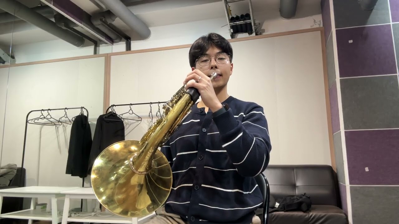 January 19, 2026 / F. Strauss - Thema und Variationen #16  (Variation II)