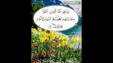 سورة الزمر الآية ( 61 )