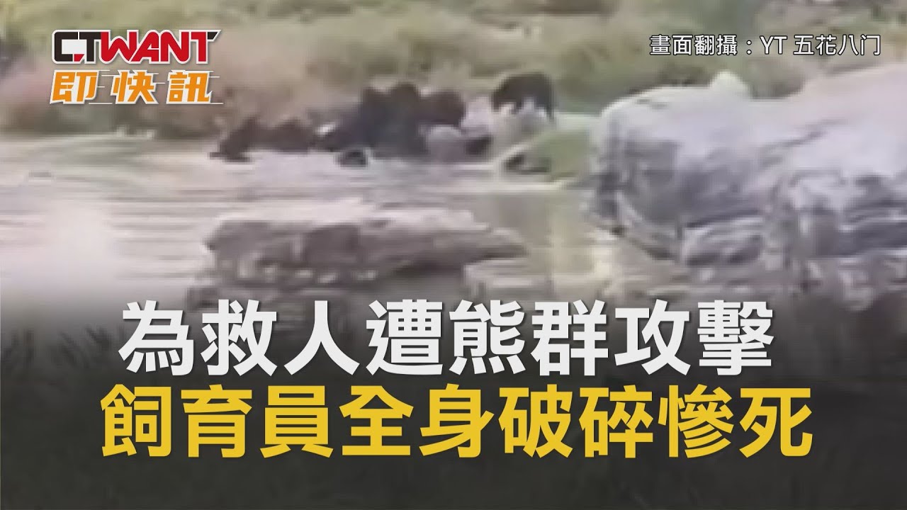 Ctwant 即時新聞 為救人遭熊群攻擊 飼育員 全身破碎 慘死池邊 Youtube Ctwant 即時新聞 為救人遭熊群攻擊 飼育員 全身破碎 慘死池邊 Youtube