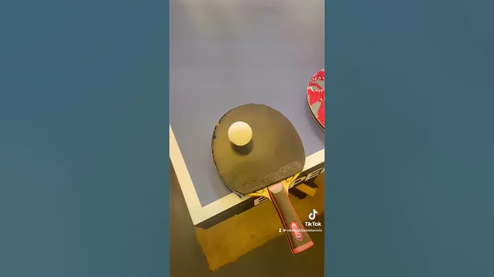 $5 VS $250 😮🏓 #tabletennis #pingpong #serve #shorts #tutorial - DayDayNews