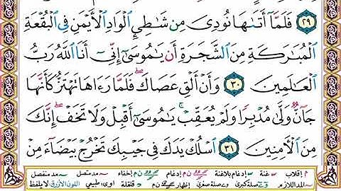 (سورة القصص) محمد اللحيدان ٢٨