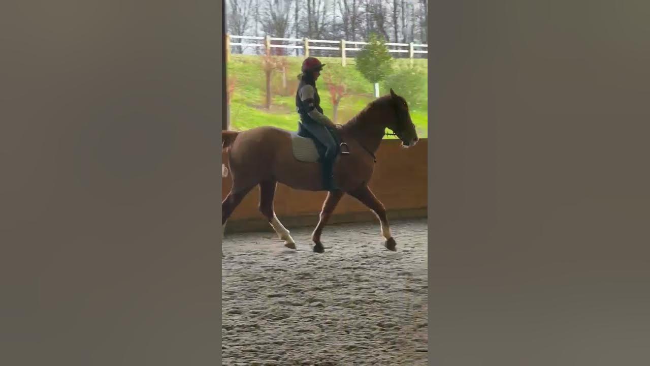 Improving Leg Stability In The Saddle Exercise 4 Riding Without