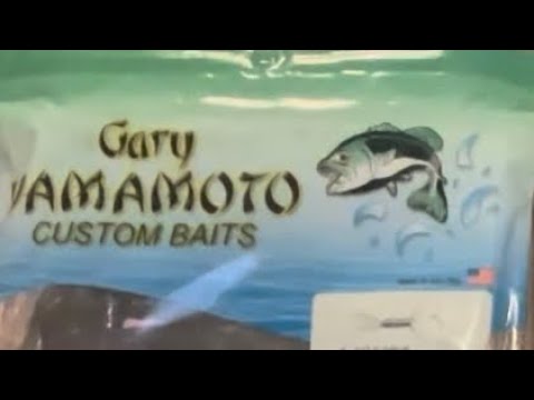 How to fish the Yamamoto Thin Senko! 