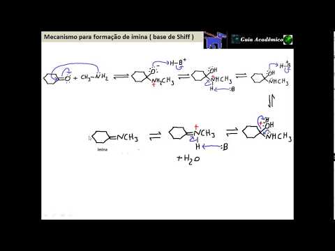 227- Mecanismo para formação de imina ( base de Shiff )