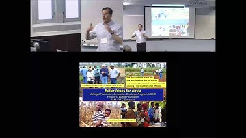 Roots for the 10B phenes and phenotypes for soil resource capture