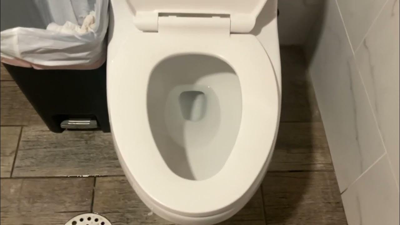 Glacier Bay One Piece Dual Flush toilet YouTube