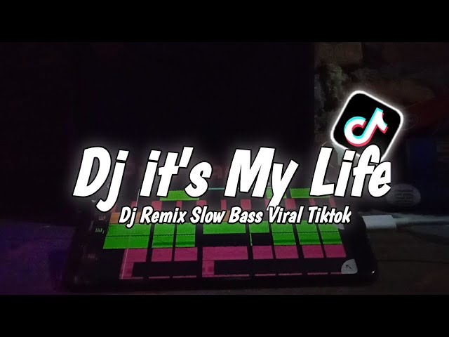 Dj Its My Life Remix Sloww Bass~Zein Fvnky class=