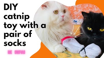 DIY catnip toy for cats| Toys 🧸 #cats #catnip_toys