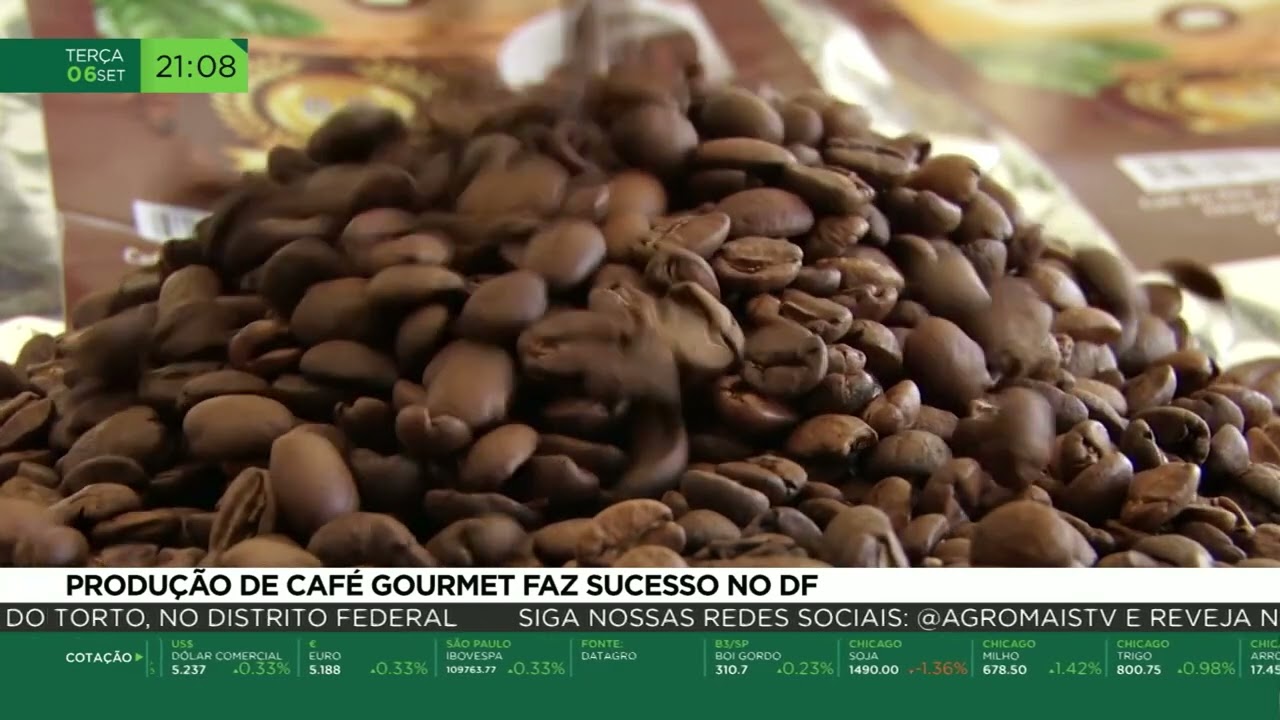 Produção de café gourmet faz sucesso no DF