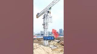 How do massive tower cranes on construction sites get taller?