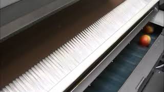 Affeldt Schalenbefüllung Apfel