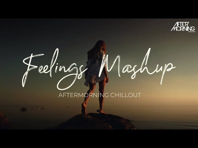 Feelings Mashup | Aftermorning Chillout | Jannat Mashup class=