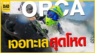 Orca..crosses the brutal sea! Thailand Championship, 2nd field l OH MY DAD & The 4 Or EP.320 screenshot 4