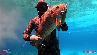 Trip Ke 2 Pemana Island Spot Indah Dan Ikan Melimpah