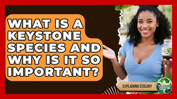 What Is A Keystone Species And Why Is It So Important? - Explaining Ecology