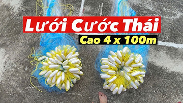 Lưới Cước Thái Ba Màn | Thả Cá Mè Nổi Tự Nhiên | Cao 4x100m 10cm (Cước 2.5 ) Chuẩn Và Đẹp Như Video