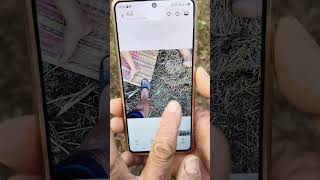 กล้องชัดบ่