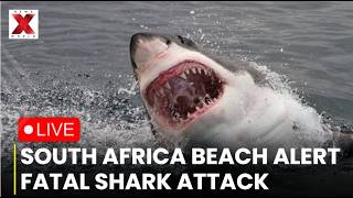 South Africa Shark Attack LIVE : Woman Killed in Shark Attack at South African Beach