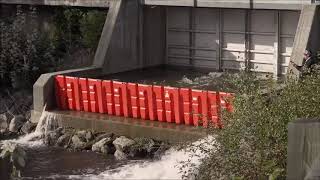 Boxwall BW102 Spillway Test