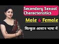 ثانوی جنسی خصوصیات مرد اور عورت میں تبدیلیاں بلوغت کے دوران تبدیلیاں 