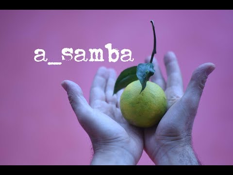 a_samba - Arnaldo Antunes