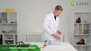 How to Perform a Precipitation Reaction
