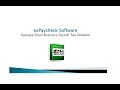 Georgia Small Business Payroll Software