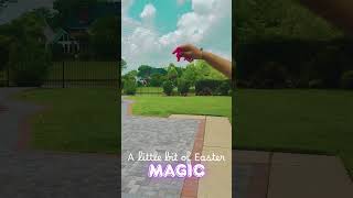 A little bit of Easter Magic #easter #egg #confetti