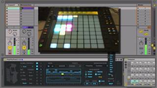 Arcade Series - Polypin - Sequencers