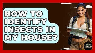 How To Identify Insects In My House? - Exploring Campgrounds