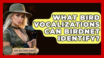 What Bird Vocalizations Can BirdNET Identify? - Bird Watching Diaries