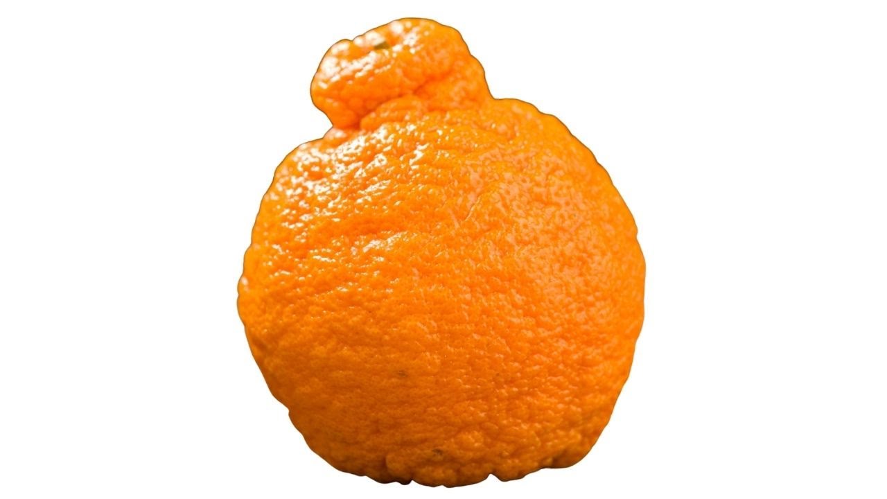 Here's Your Tell-All Guide To Sumo Oranges, The Perfect Healthy Snack