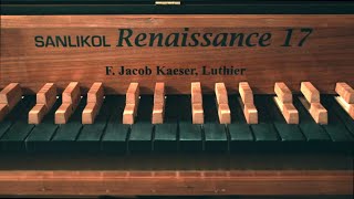 Renaissance 17 - a digital microtonal keyboard with 17 keys per octave [EPK]