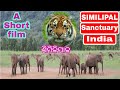 Similipal tiger reserve video HD || Documentary film Simlipal abhayaranya,Mayurbhanj,Odisha,India