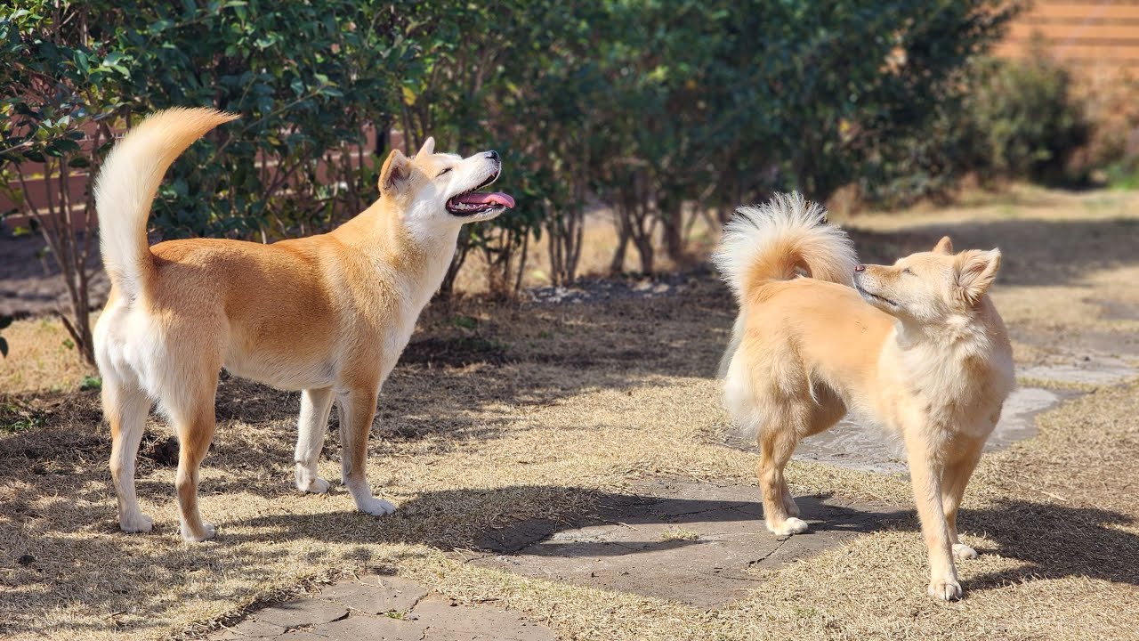 나렝아치 주말 수다방