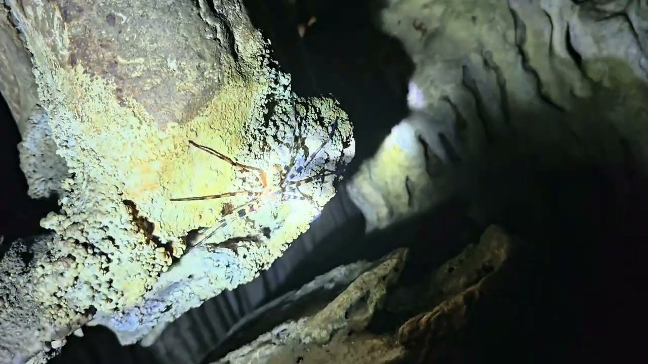 Thailand Pra Kai Petch Cave Khao Sok