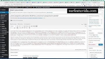 Cómo programar publicaciones en WordPress de manera automática