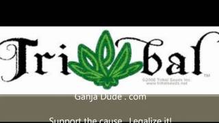 TRIBAL SEEDS - Love Psalm with Ganja Dude
