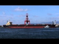DOUBLE HARMONY (Bulk carrier) NSユナイテッド海運石炭専用船 2011-11-8 Osaka,Japan