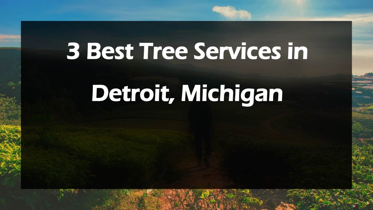 3 Best Tree Services in Detroit, Michigan | Arborists - YouTube
