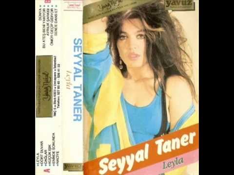 Seyyal Taner - Dört Duvar - 1986