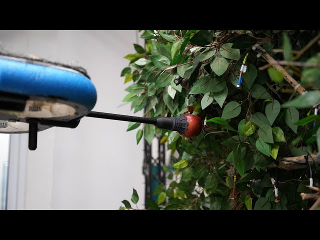 Fruit-Picking Robots