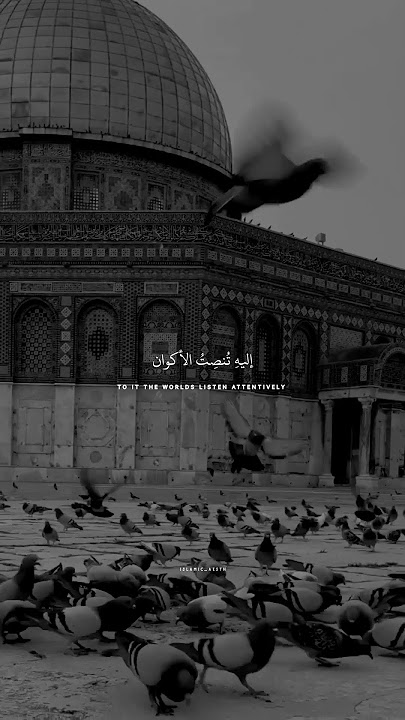 Huwa AlQur'an | Arabic Nasheed | Aesthetic | Islamic WhatsApp Status | 2023. #islamicvibes #nasheed