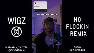 I MADE A NO FLOCKIN REMIX - WIGZ